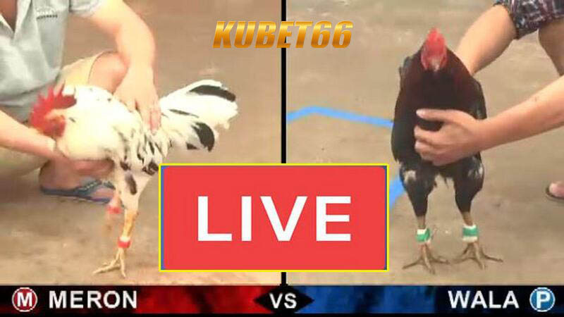 Khuyến mãi Kubet66 là gì?