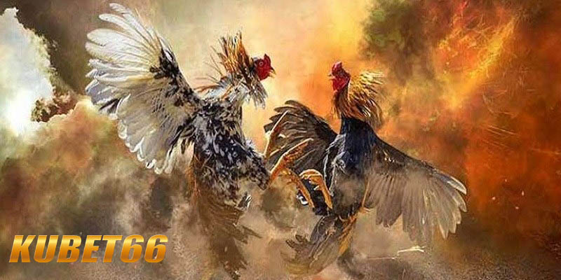 So sánh các loại Link vào Kubet66 phổ biến hiện nay