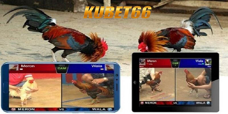 Hiểu rõ về Nạp tiền Kubet66